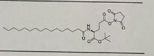 Pal-Glu(0Su)-0tBu