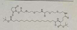 tBuO-Ste-Glu(AEEA-AEEA-OSu)-OtBu