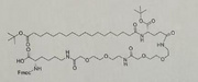 Fmoc-Lys(tBuO-Ste-Glu(AEEA-AEEA)-OtBu)-OH