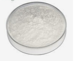 DHA Oil Powder 10%