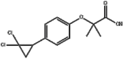 Ciprofibrate