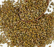 Cassia Seed Extract