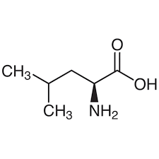 L-Leucine  