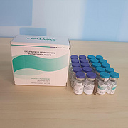 Group ACYW135 Meningococcal Polysaccharide Vaccine