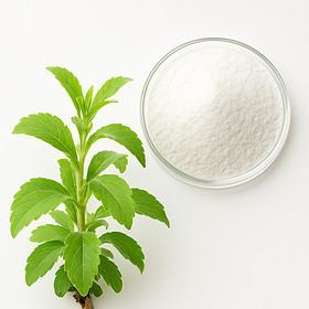 Stevia Extract