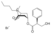 Hyoscine Butyl Bromide