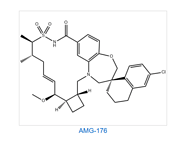 AMG-176