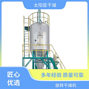 Stainless steel Flash Dryer TaYaCn Drying