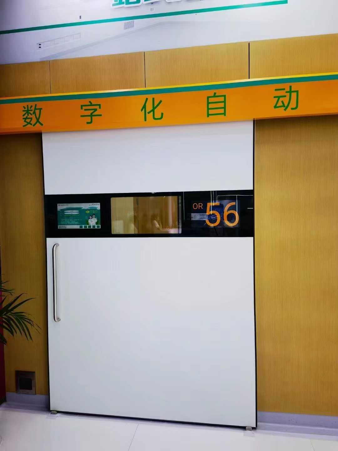Digital Touchscreen Automatic Door  