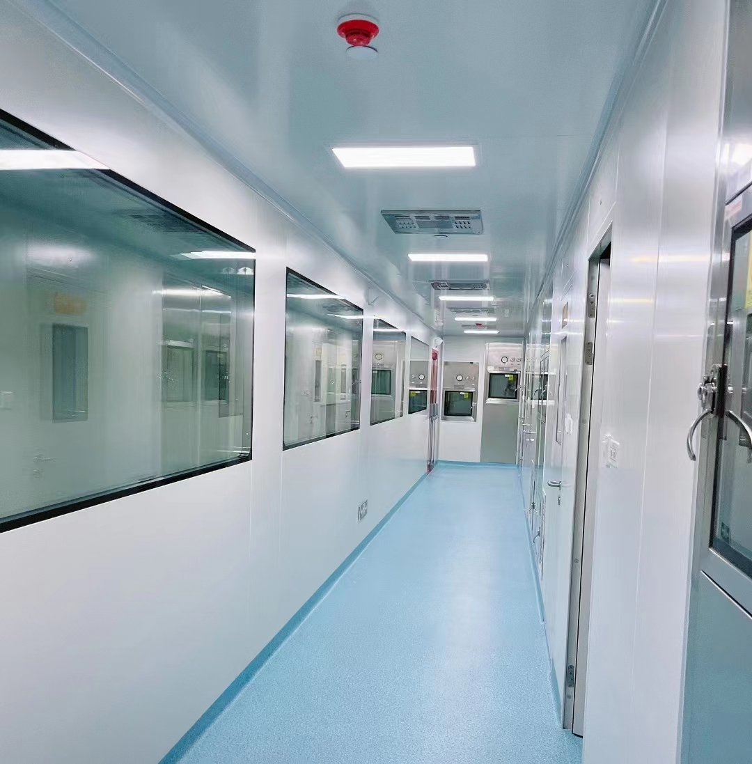 Tempered Glass Cleanroom Window