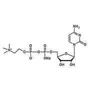 Citicoline Sodium