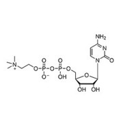 Citicoline