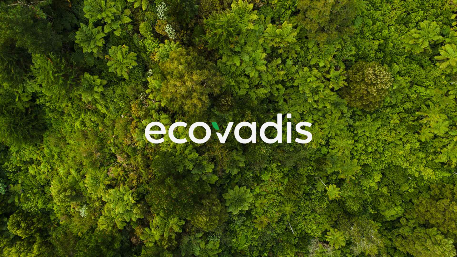 EcoVadis咨询