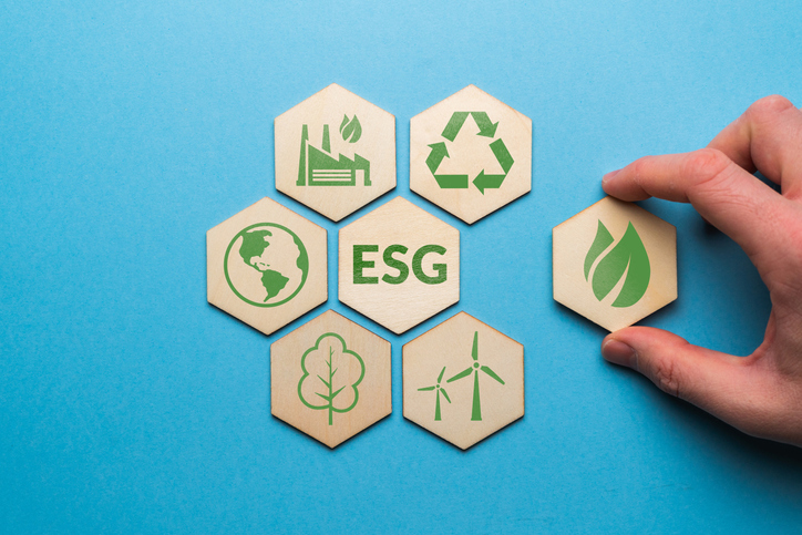 ESG体系搭建咨询  