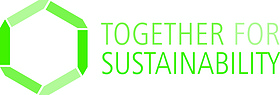 TFS Consulting