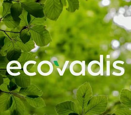 EcoVadis咨询  