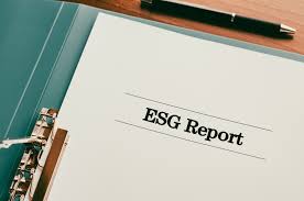 ESG report preparation services  