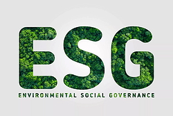 ESG report preparation services