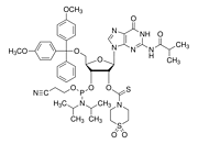 DMT-2'-O-TC-rG(ibu) Phosphoramidite