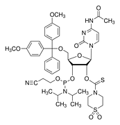 DMT-2'-O-TC-rC(Ac) Phosphoramidite