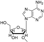 2'-O-Methyladenosine
