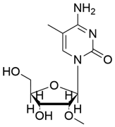 2'-(O-METHYL)-5-METHYLCYTIDINE