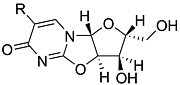 2,2'-Cyclouridine