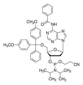 5'-O-DMT-N6-Bz-2'-dA Phosphoramidite