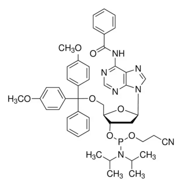 5'-O-DMT-N6-Bz-2'-dA Phosphoramidite