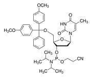 5'-O-DMT-dT Phosphoramidite