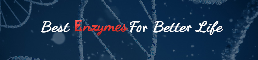 Yugong Biotech Co.,Ltd.