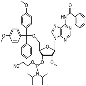 5'-O-DMT-2'-OMe-Bz-A Phosphoramidite