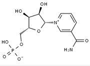 β-Nicotinamide Mononucleotide