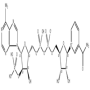 Triphosphopyridine nucleotide