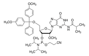 5'-O-DMT-2'-OMe-iBu-G Phosphor amidite