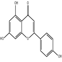 Apigenin