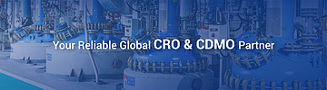 CRO&CDMO Services