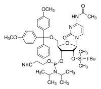 DMT-2'-OTBDMS-C(Ac)-CEPhosphoramidite