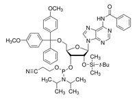 DMT-2'-OTBDMS-A(Bz)-CEPhosphoramidite