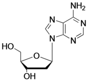2’-Deoxyadenosine