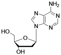 2’-Deoxyadenosine