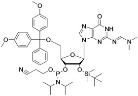 DMT-2'-O-TBDMS-G(dmf)-CE-phosphoramidite