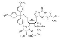 DMT-2'-OTBDMS-G(iBu)-CEPhosphoramidite