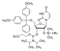 DMT-2'-OTBDMS-U-CEPhosphoramidite