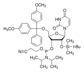 DMT-2'-OTBDMS-U-CEPhosphoramidite