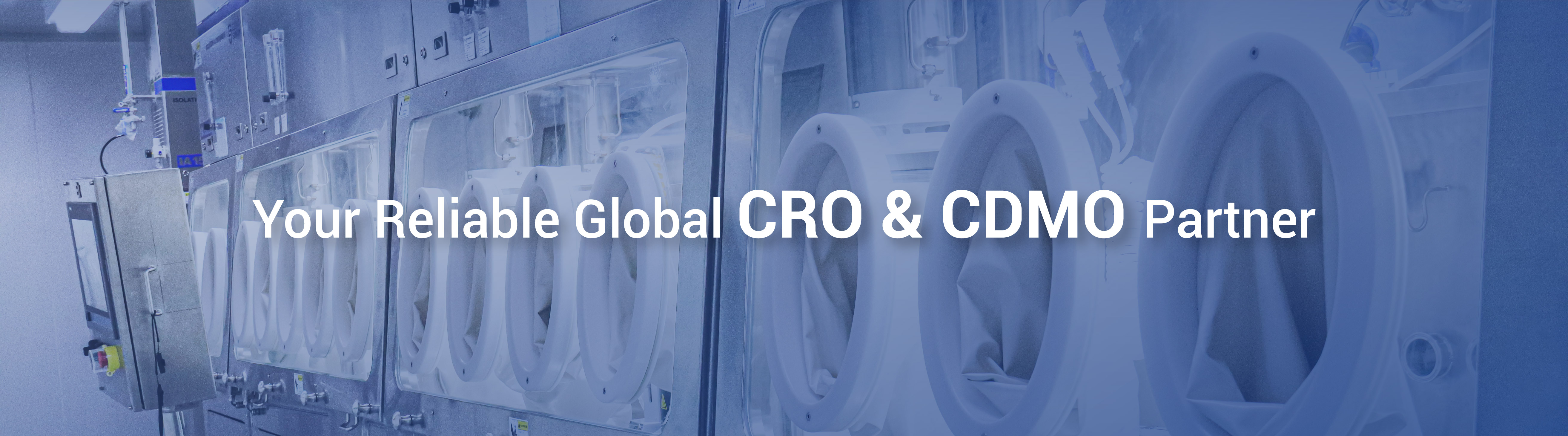 CRO&CDMO Services  