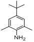 4-(TERT-BUTYL)-2,6-DIMETHYLANILINE