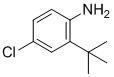 4-Chloro-2-(1,1-dimethylethyl)benzenamine