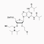 2’O-MOE-2,6-diamino-G(ibu)-Phosphoramidite