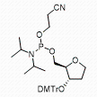 invAb phosphoramidite